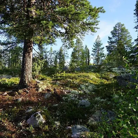 Prázdninový dům Moderne Plass For 10