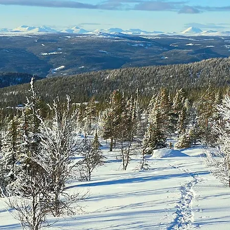 Moderne Plass For 10 Rendalen