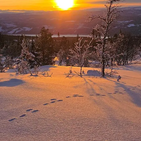 Moderne Plass For 10 Prázdninový dům *