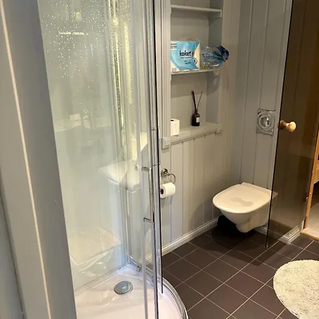 Moderne Plass For 10 Prázdninový dům Rendalen