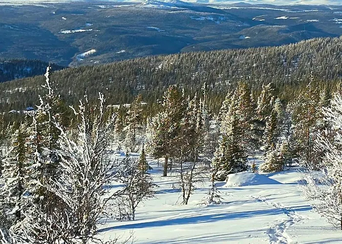 Moderne Plass For 10 Rendalen